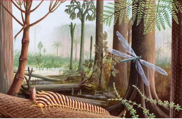 揭秘五种地球上最强大的昆虫,地球上远古已灭绝的昆虫