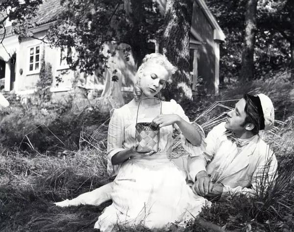 世界10部最值得看的公路电影,令人震撼的公路