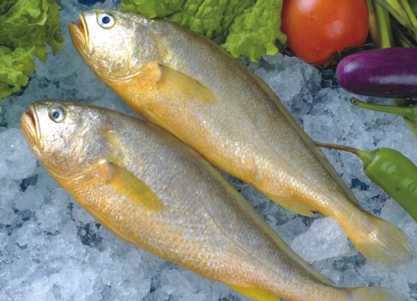 中国人经常吃的海鱼,中国人一般常吃的鱼