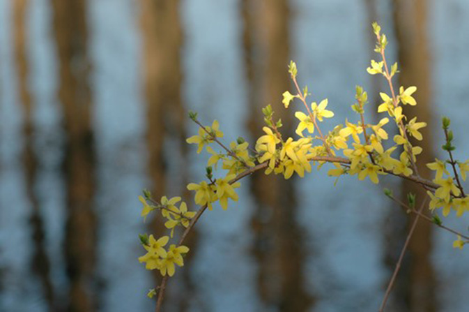 摄影小景深效果图,摄影景深知识大全