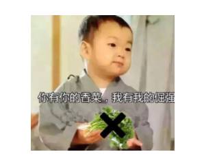 秋冬平价粉底大推荐合适混合,混油入秋粉底