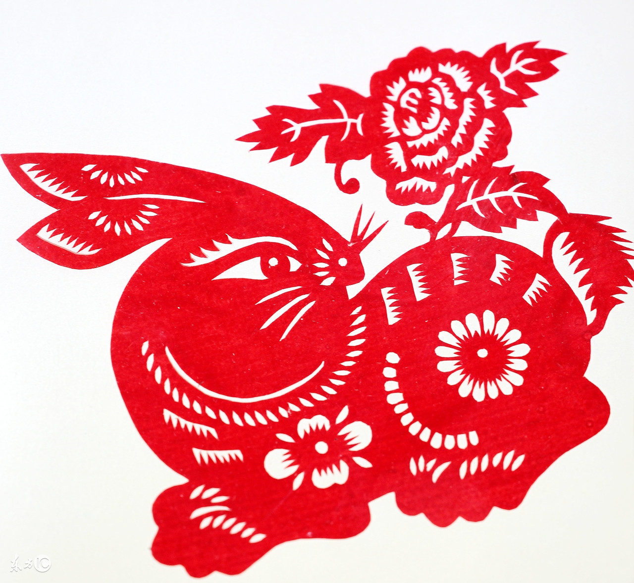 十二属相运势及注意事项,十二属相最新每日运势详解