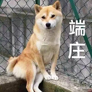 最值得推荐的几款大牌眼影,推荐几款好用合适日常的眼影