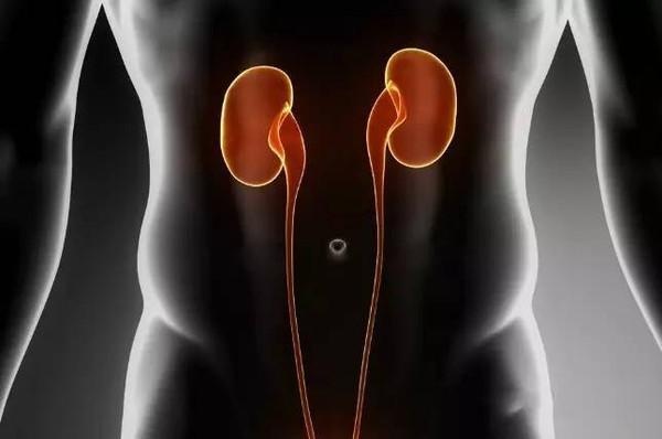最应景的科普文：人如果少了一个肾会怎么样？