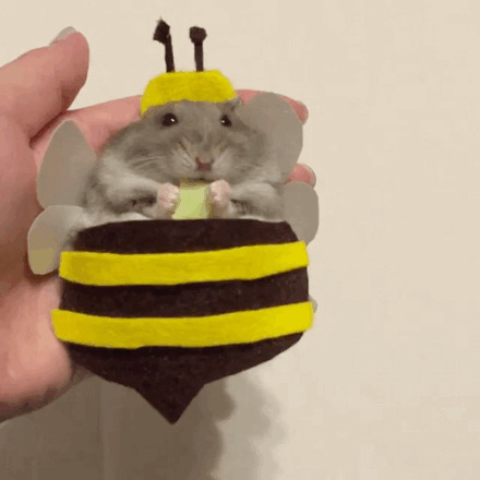 一只萌萌的吃货仓鼠，在角色扮演，还不忘记爪子里的好吃的