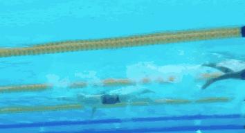 自由泳怎么提高速度和力量,自由泳动作标准但为何速度慢