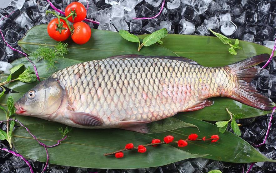 青鱼和鲢鱼的区别图片,和鳙鱼相似的鱼有哪些