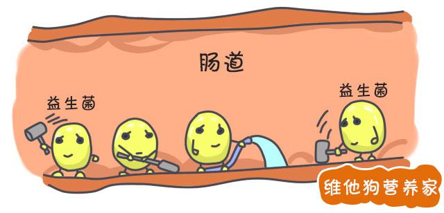 3步解决婴幼儿便秘赶快学起来,宝宝便秘小妙方