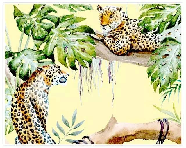 初学者必备高颜值瑜伽垫分享,合适运动的瑜伽垫