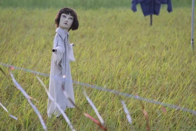 超级恐怖又诡异的稻草人,恐怖稻草人真实故事