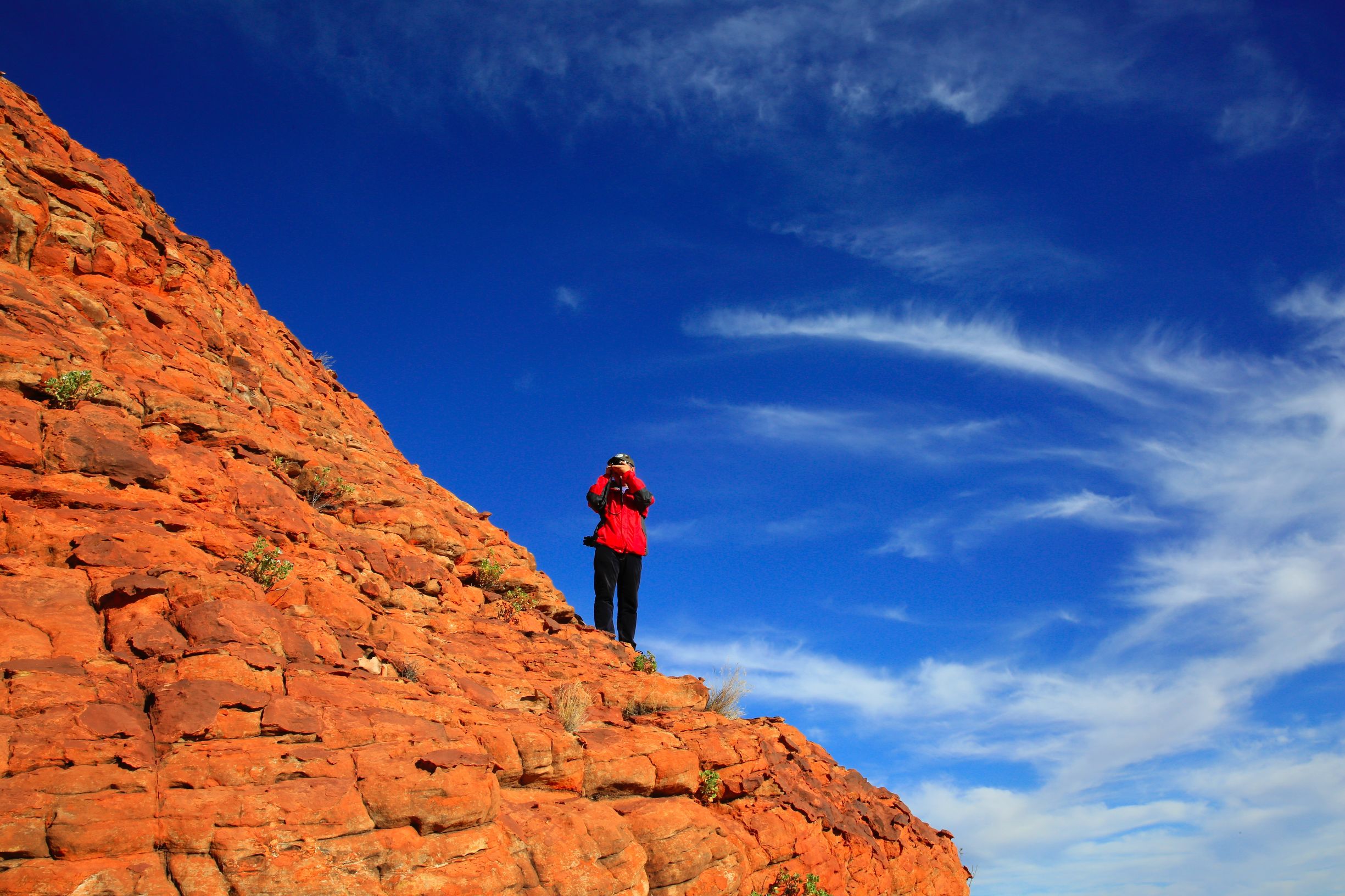 关于澳洲的一切,澳大利亚国王峡谷