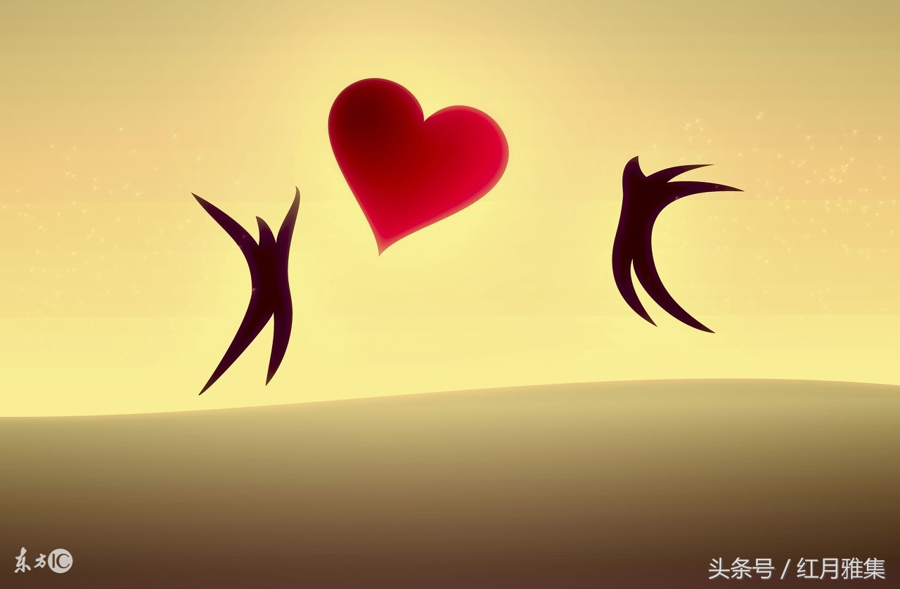 转身遇见秋——〈二〉善缘