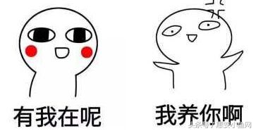 在闽南不仅有四脚蛇，还有四脚鱼，也叫“中国火龙”！