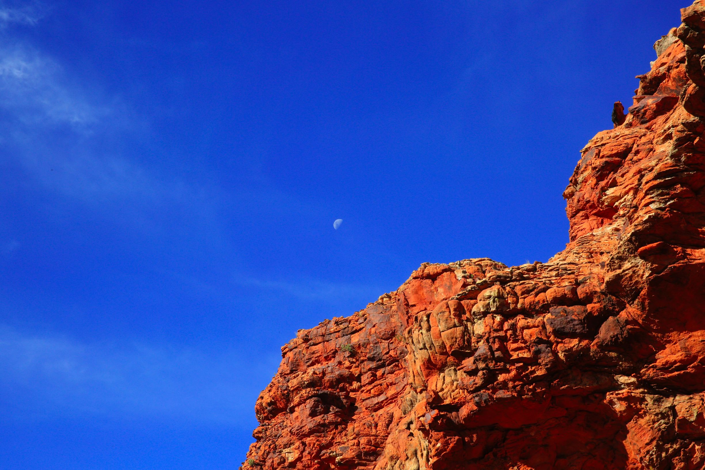 关于澳洲的一切,澳大利亚国王峡谷
