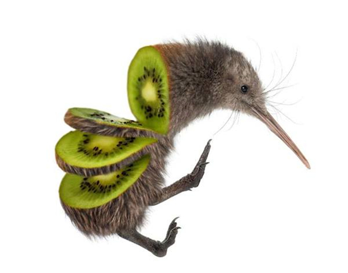 蔬果动物造型创意作品简单,灵感脑洞大开的动物创意合成