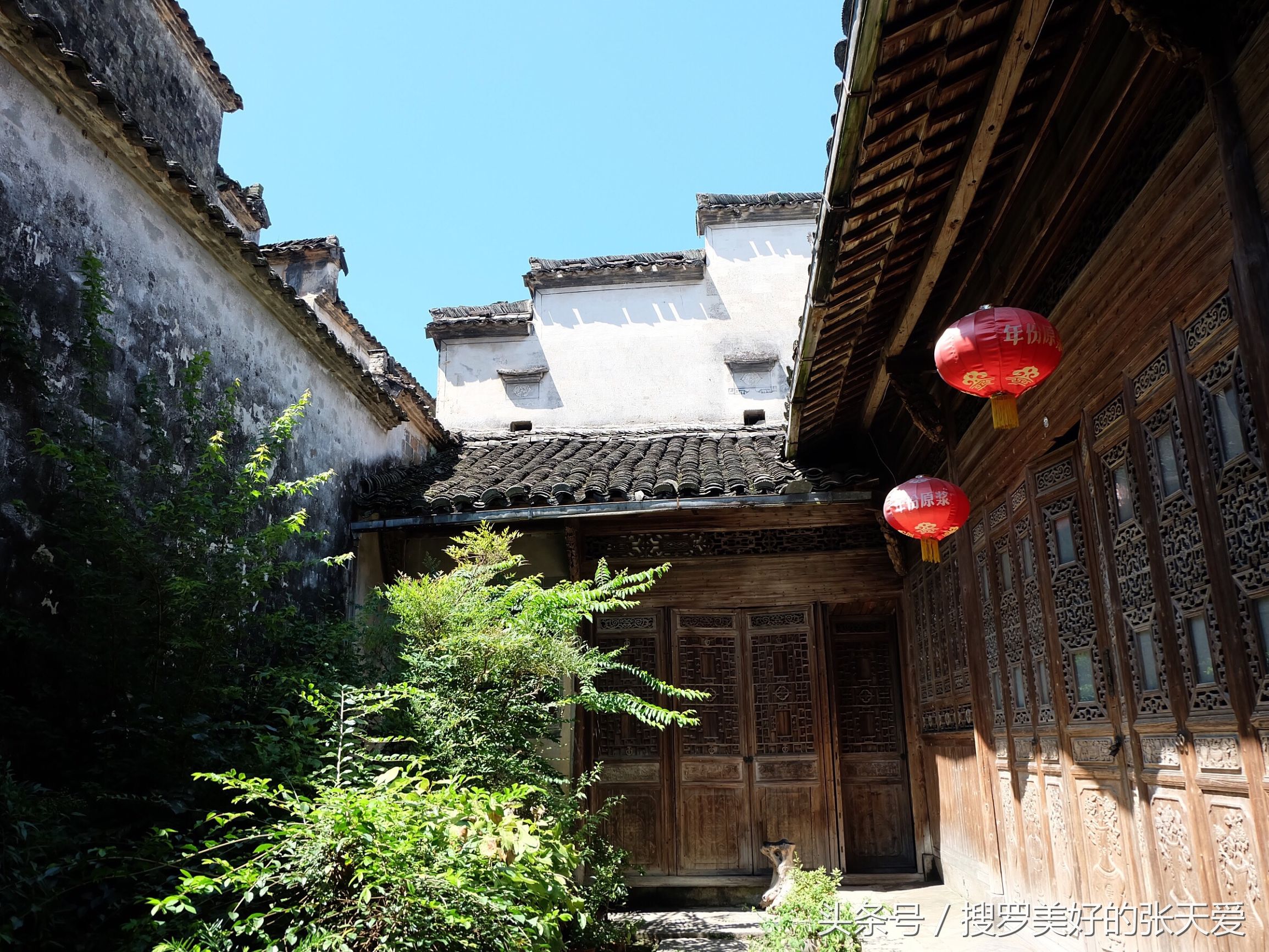 自然环境酒店,最美黄山酒店