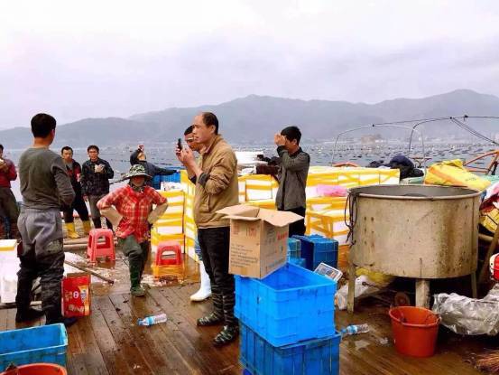 大连鲜参多少钱一斤,霞浦鲜海参价格