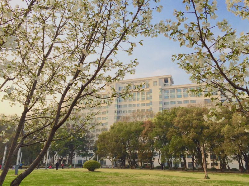 你不该错过歌曲,你不应错过的十大原创好文