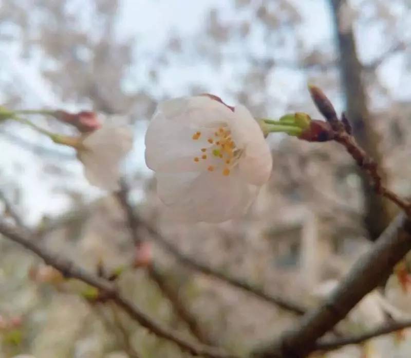 你不该错过歌曲,你不应错过的十大原创好文