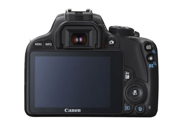 美国有哪些相机牌子好用,外国人关注什么