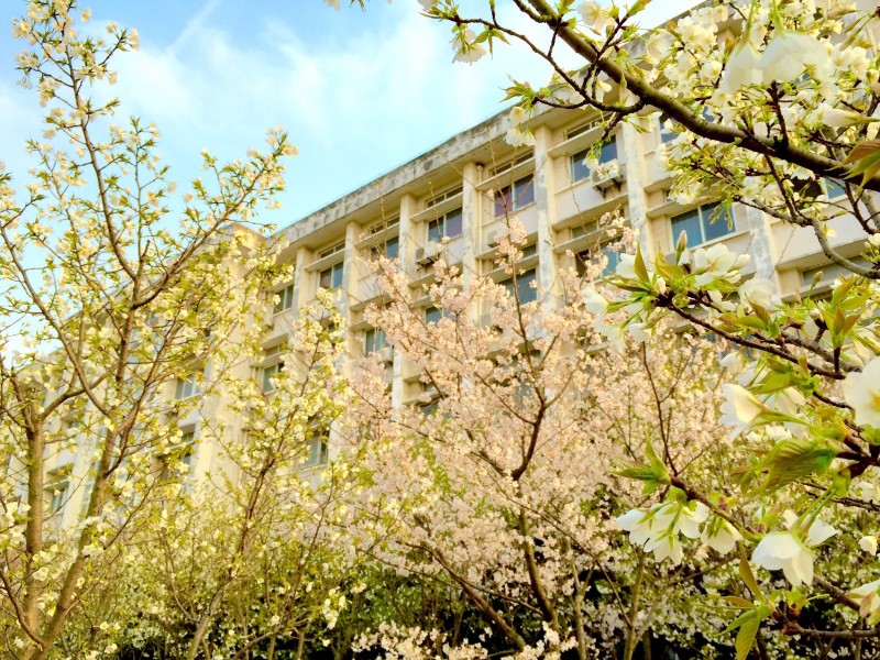 你不该错过歌曲,你不应错过的十大原创好文