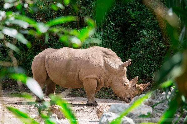 鏅幢椴滀负浜虹煡,鏅幢浣犱笉鐭ラ亾鐨勪簨