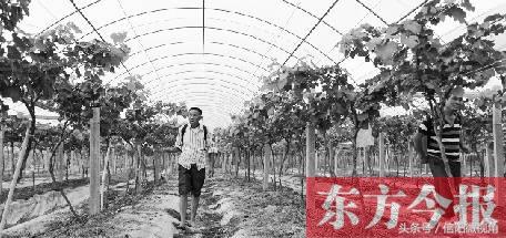 千年古县的变化图,全国年份最长的千年古县