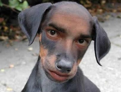 外贸行业的血泪教训,跨境电商你所不知道的秘密