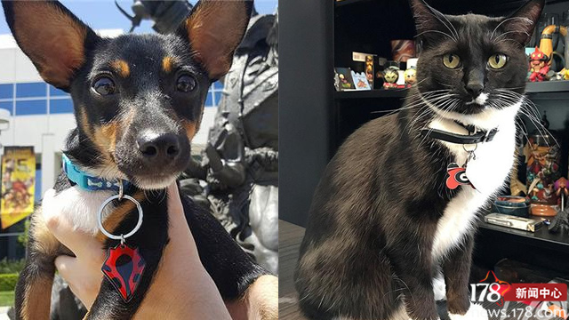 一周轻谈：暴雪的宠物真幸福，300万人一起吃鸡