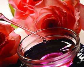 玫瑰精油和山茶花精油哪种好,教你认识花草