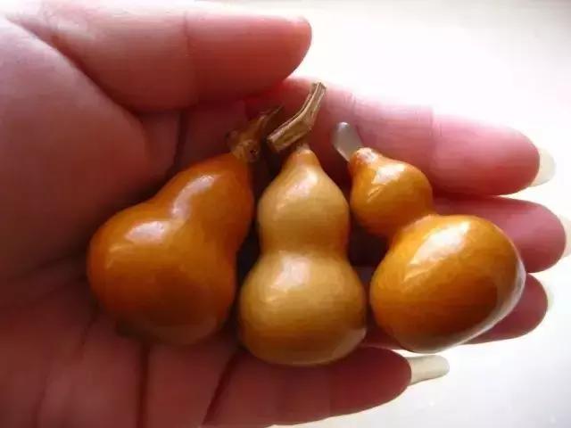 手捻葫芦室内阳台能够种吗,手捻葫芦几月份种好