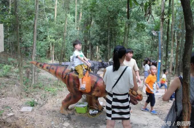 福建省永春玻璃栈道,福建玻璃栈道景点都在哪里