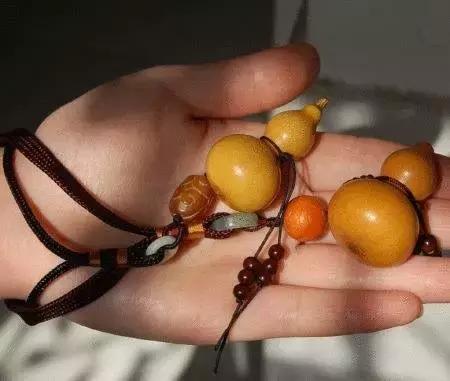 手捻葫芦室内阳台能够种吗,手捻葫芦几月份种好