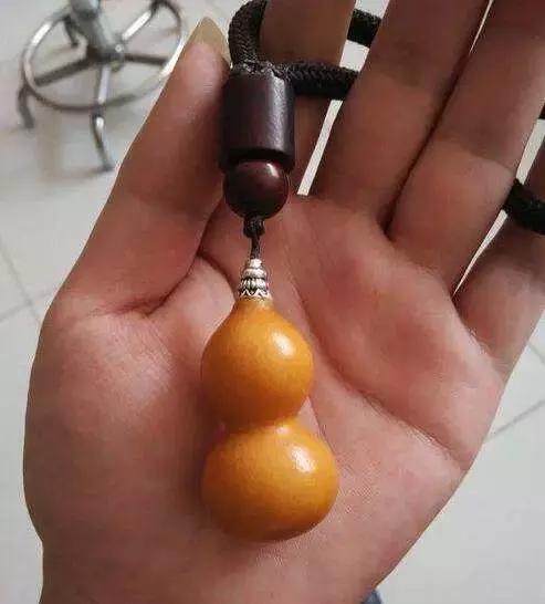 手捻葫芦室内阳台能够种吗,手捻葫芦几月份种好