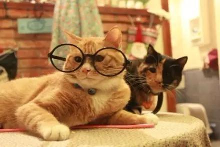 美瞳该如何佩戴才正确,美瞳教程教你如何正确佩戴美瞳