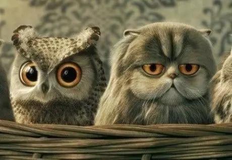 美瞳该如何佩戴才正确,美瞳教程教你如何正确佩戴美瞳