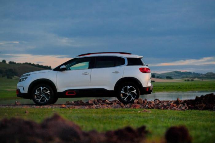 世上所有入流的美，都不相苟同