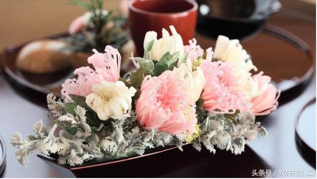 农村创业好项目,农村创业好项目投资少见效快