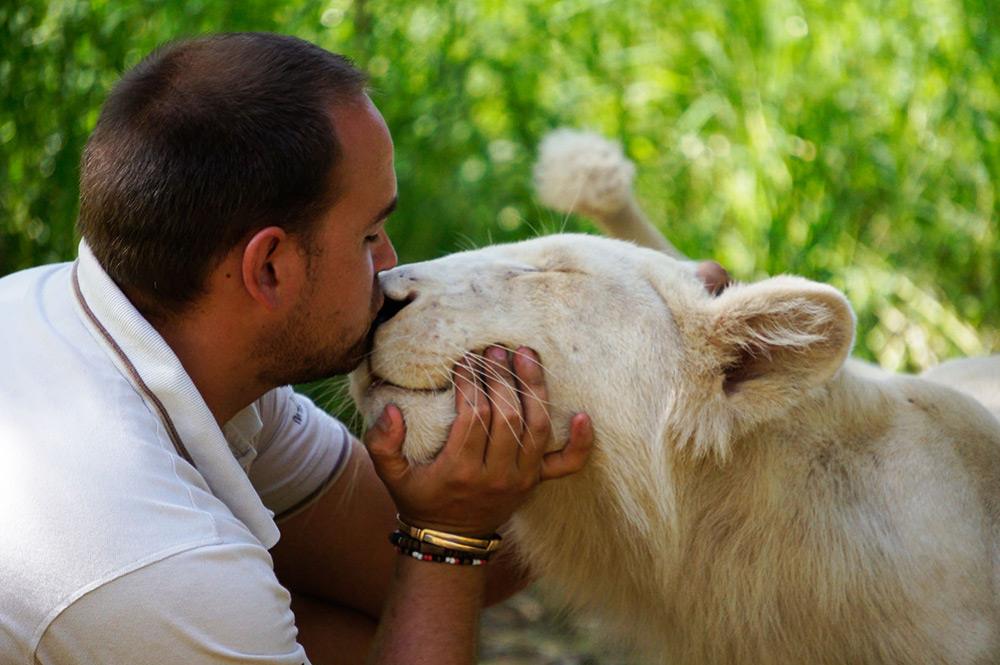 帕劳毛里求斯马尔代夫,马尔代夫塞班帕劳哪个好玩