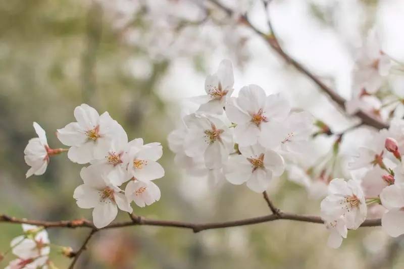 你不该错过歌曲,你不应错过的十大原创好文