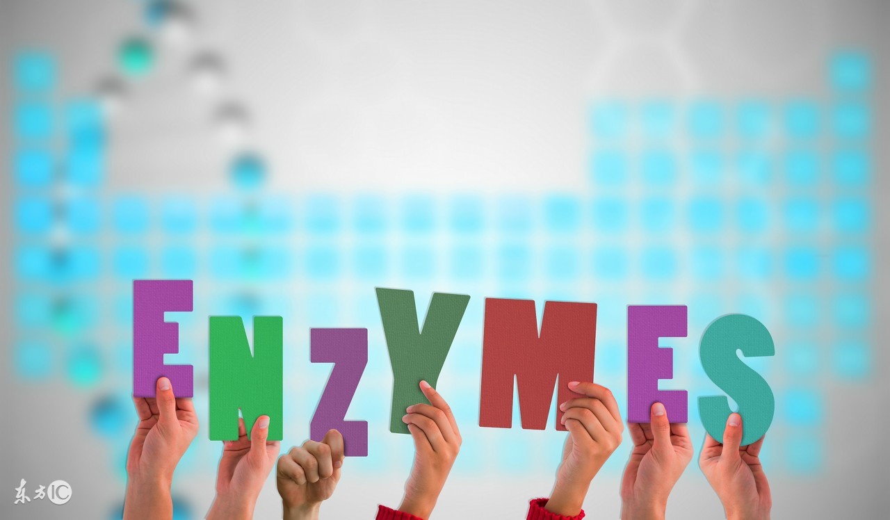 益生菌酵素,酵素的做法