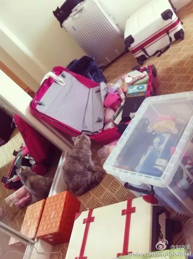 神仙姐姐刘亦菲护肤,刘亦菲代言的护肤品