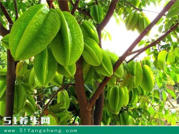 高血脂吃什么食物降脂最快,高血脂的人吃什么降脂最快