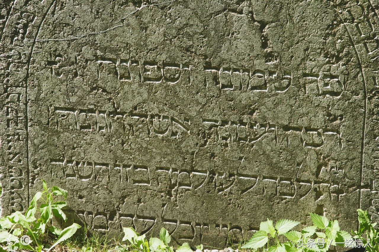 心灵鸡汤励志正能量短句人生感悟,励志心灵鸡汤正能量小故事