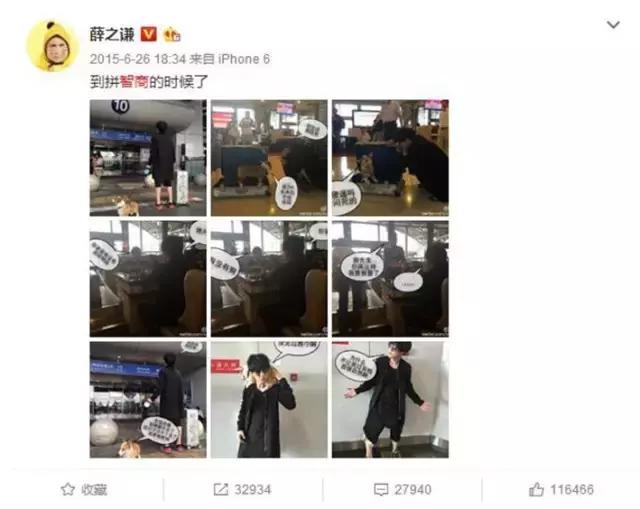 薛之谦一年能赚多少钱,薛之谦今年赚多少