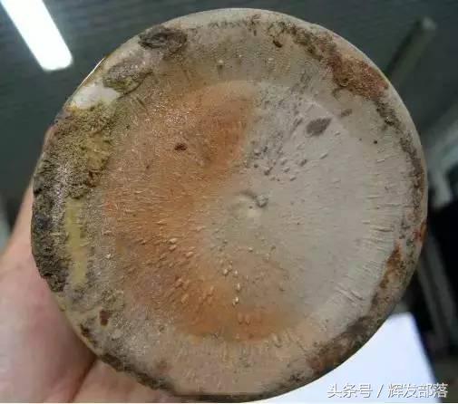 目前市面上的假茅台,你们买的假茅台是真的吗