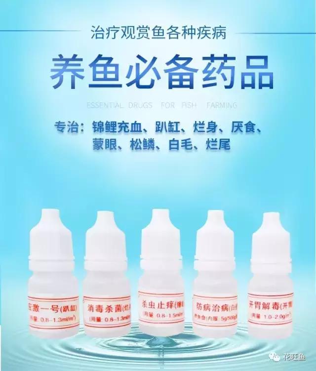 锦鲤鱼缸泡沫多最简单的处理方法,锦鲤鱼缸水面有泡沫的原因和处理