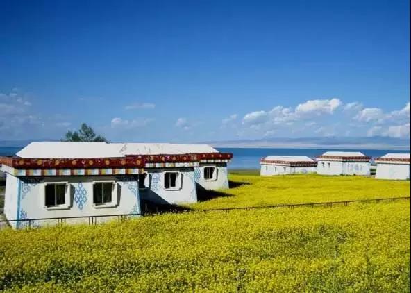 青海人的十大特征,主要看气质是谁提出来的