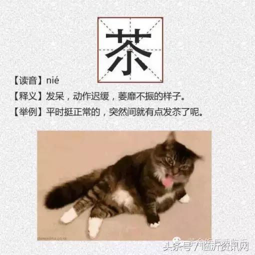 临沂最难懂的几个字和词组出炉，一起来测测你认识几个！