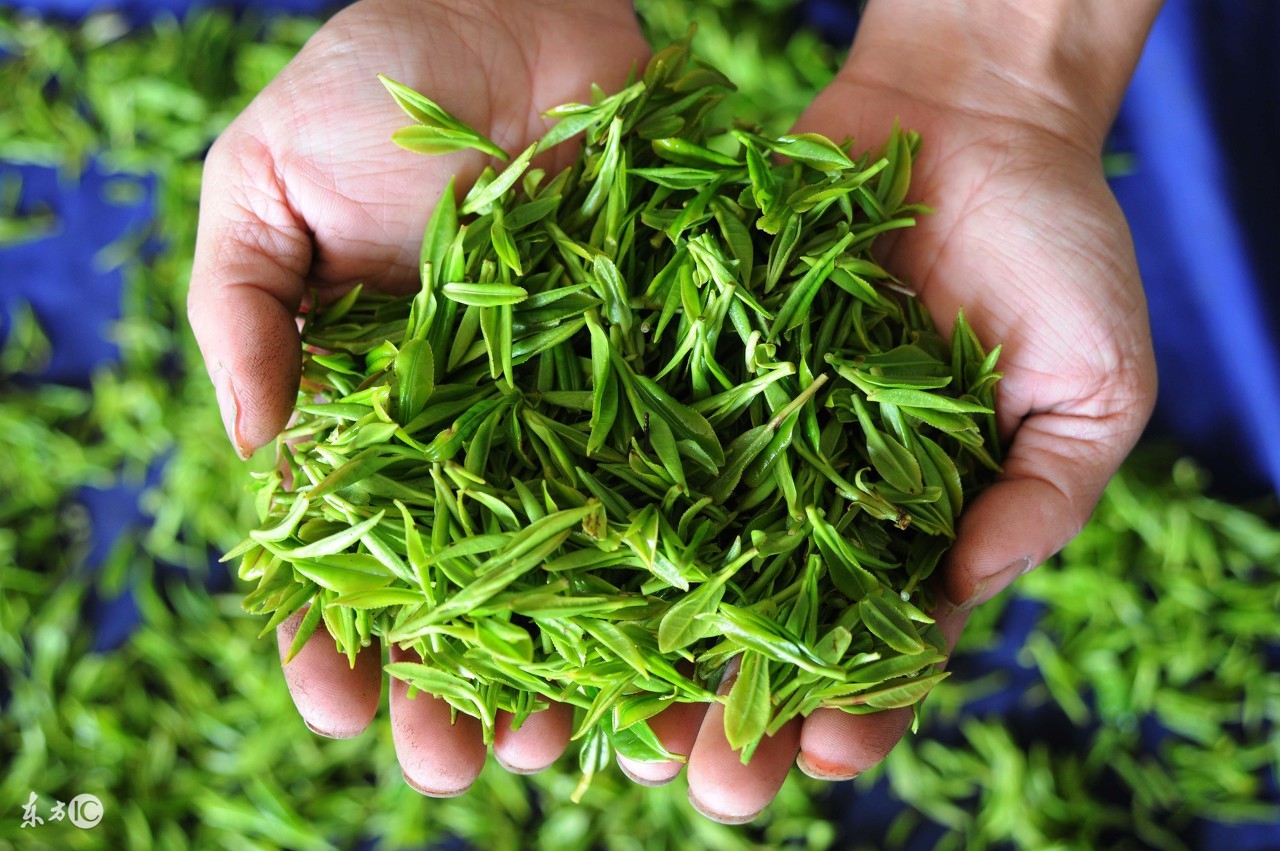 中国十大名茶图文来了,中国的10大名茶简介